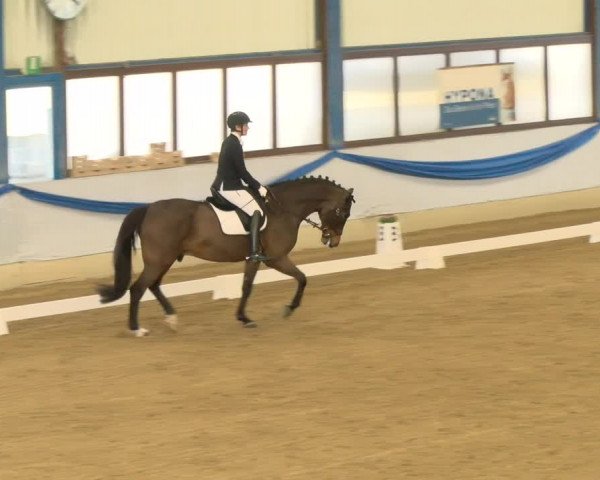 Reitturnier Buchs 2022