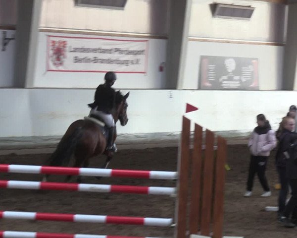 Reitturnier Münchehofe 2022