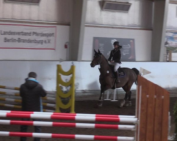 Reitturnier Münchehofe 2022