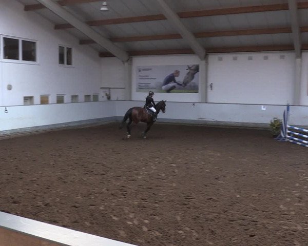 Reitturnier Münchehofe 2022