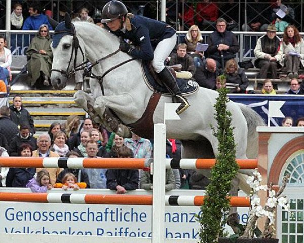 Springpferd Charlie (Westfale, 2003, von Cornet Obolensky)