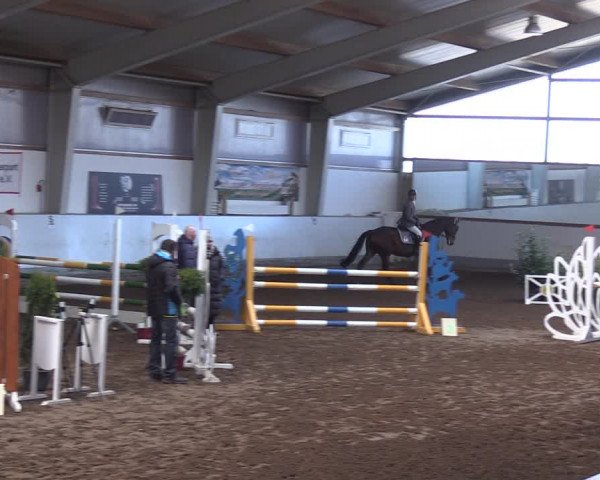 Reitturnier Münchehofe 2022