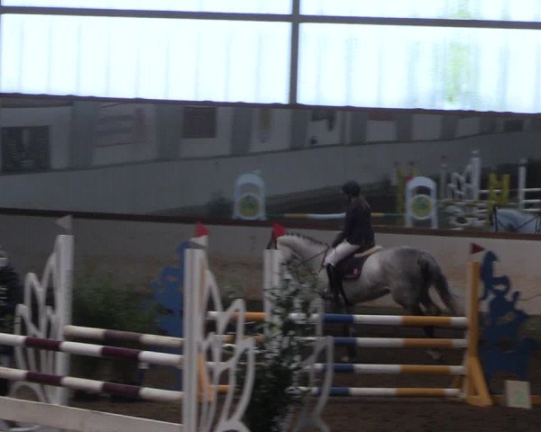 Reitturnier Münchehofe 2022