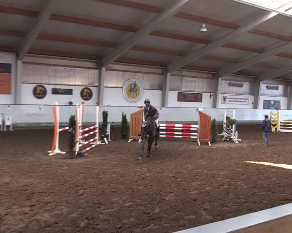 Reitturnier Münchehofe 2022