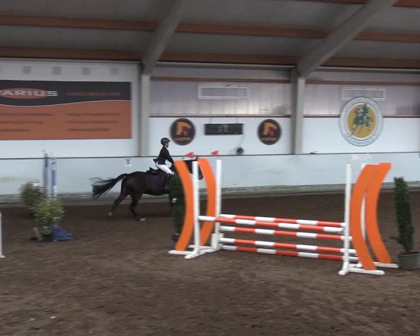 Reitturnier Münchehofe 2022