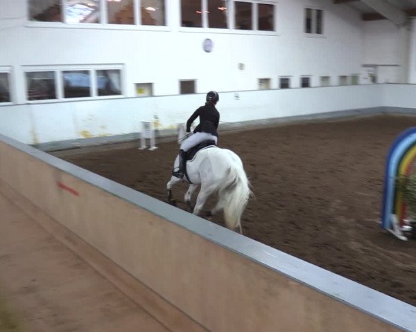 Reitturnier Münchehofe 2022