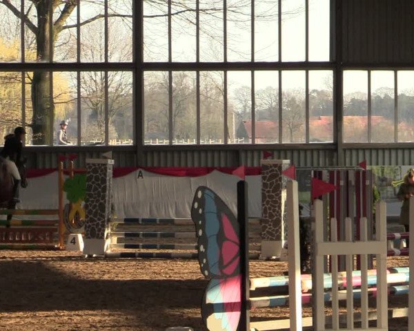Reitturnier Greven 2022