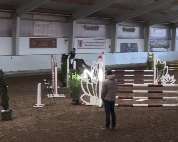 Reitturnier Münchehofe 2022