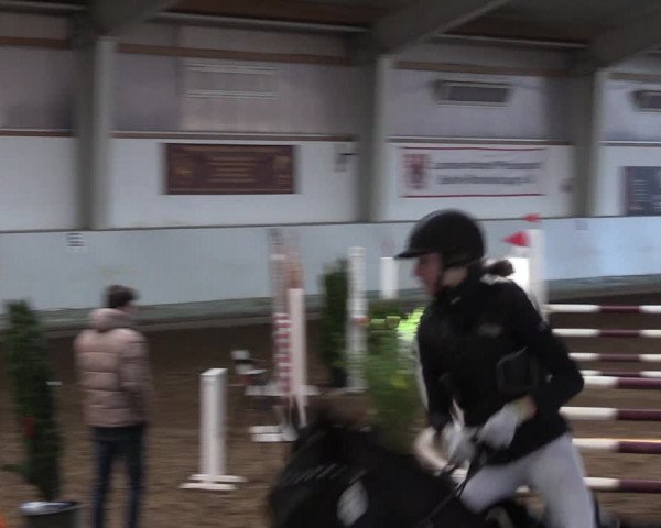 Reitturnier Münchehofe 2022