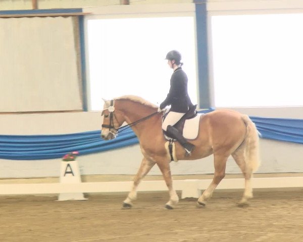Reitturnier Buchs 2022