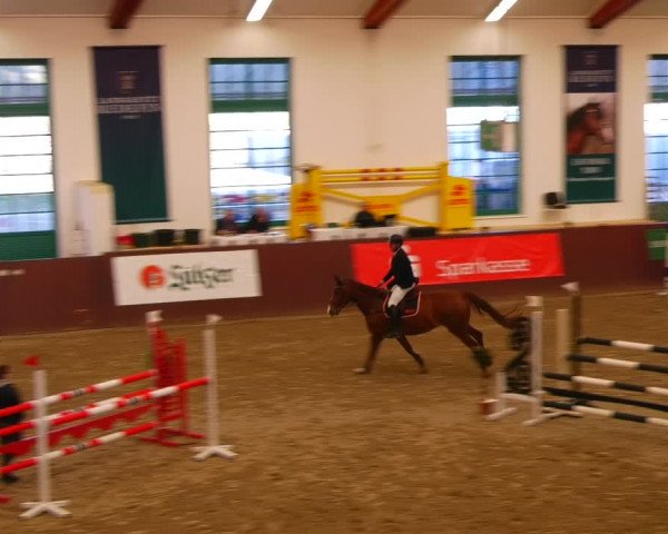 Reitturnier Redefin 2022