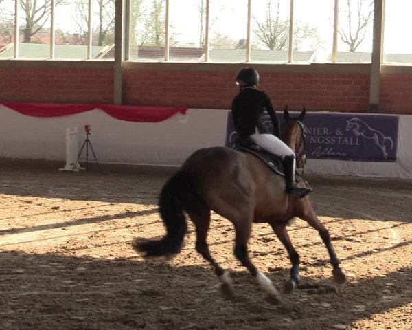 Reitturnier Greven 2022