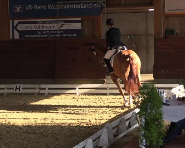 Reitturnier Coesfeld-Lette 2022