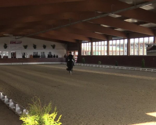 Reitturnier Coesfeld-Lette 2022