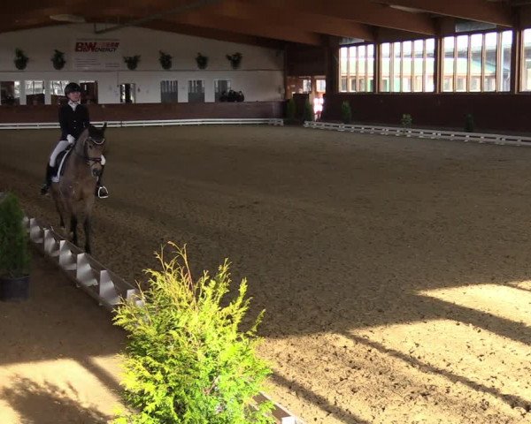 Reitturnier Coesfeld-Lette 2022