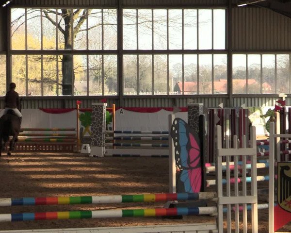 Reitturnier Greven 2022