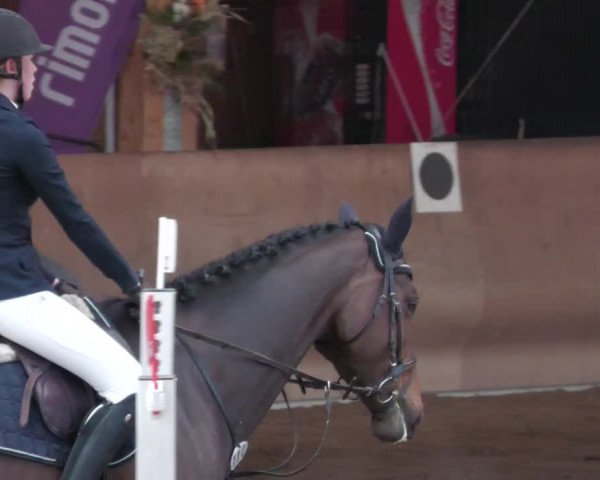 Reitturnier Schwendi 2022