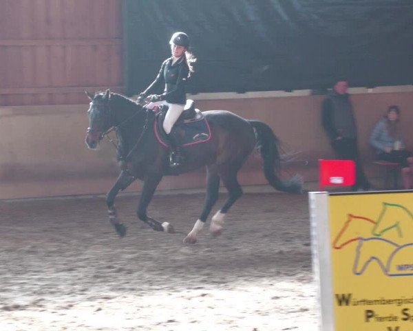 Reitturnier Schwendi 2022