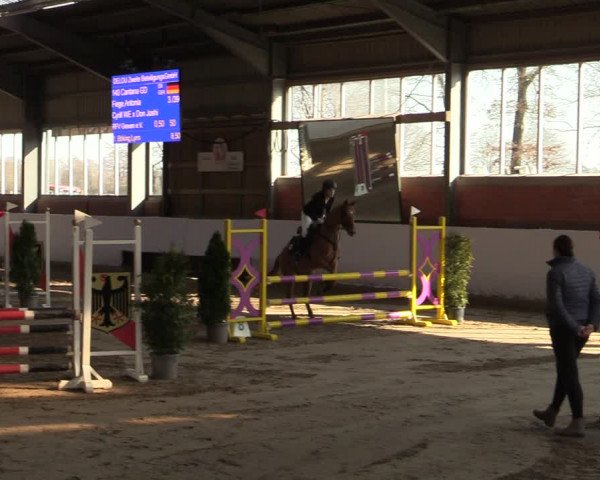 Reitturnier Greven 2022