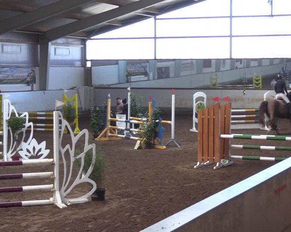Reitturnier Münchehofe 2022