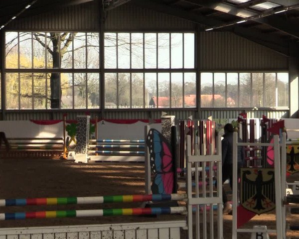 Reitturnier Greven 2022