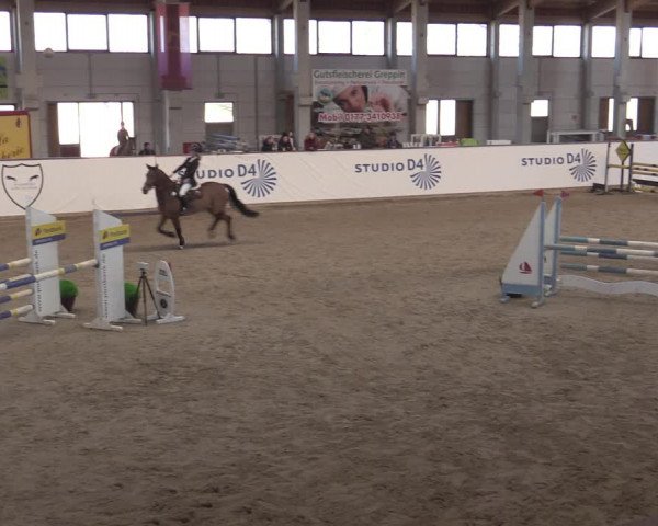 Reitturnier Prussendorf 2022