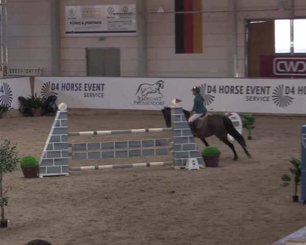 Reitturnier Prussendorf 2022