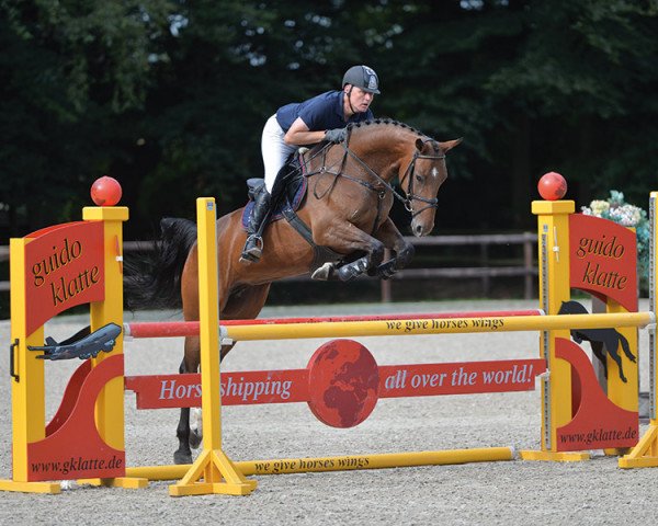 jumper Lambada 243 (Oldenburg, 2008, from Lord Pezi)
