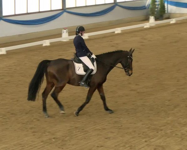 Reitturnier Buchs 2022