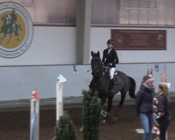 Reitturnier Münchehofe 2022