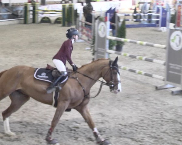 Reitturnier Karlsfeld 2022