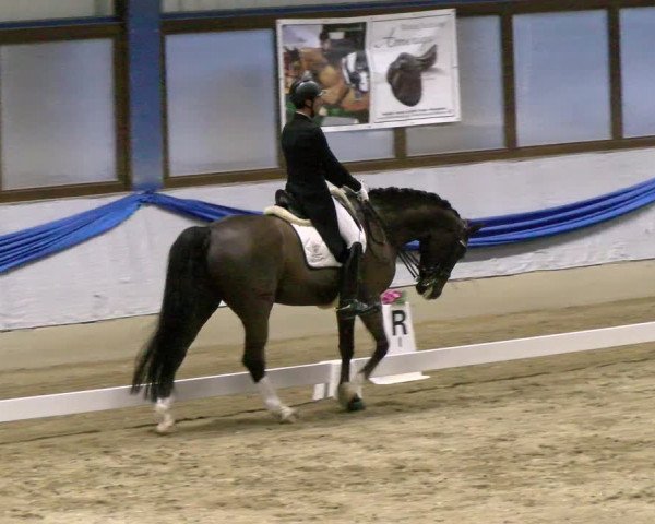 Reitturnier Buchs 2022