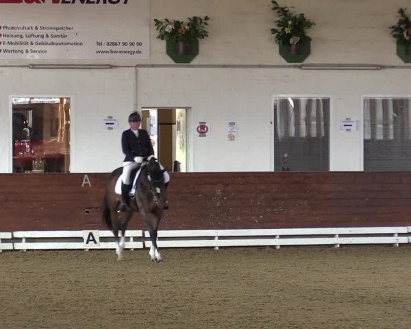 Reitturnier Coesfeld-Lette 2022