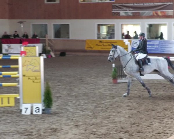Reitturnier Schwendi 2022