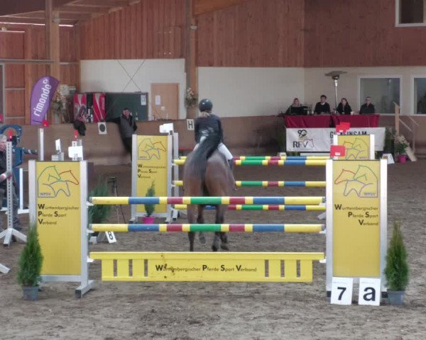Reitturnier Schwendi 2022