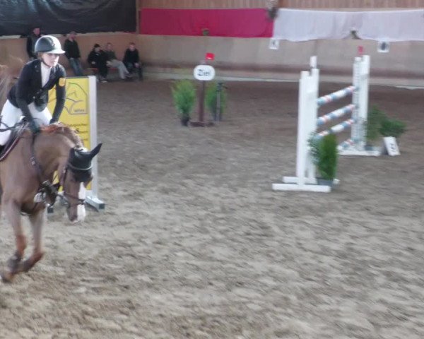 Reitturnier Schwendi 2022