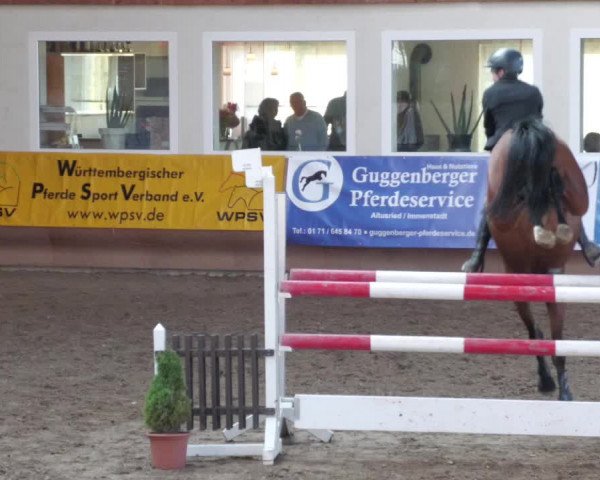 Reitturnier Schwendi 2022