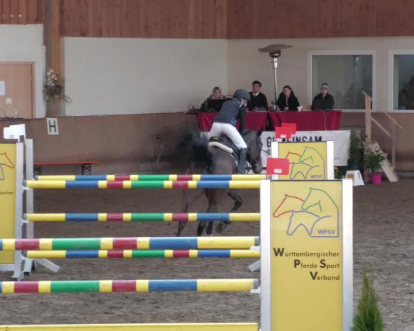 Reitturnier Schwendi 2022