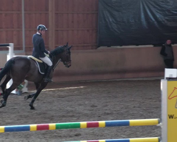 Reitturnier Schwendi 2022