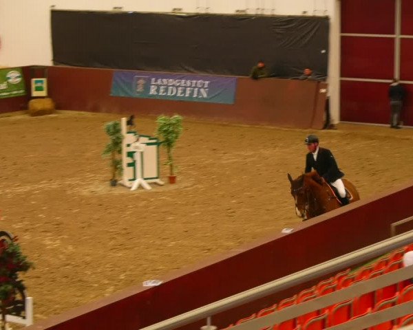 Reitturnier Redefin 2022