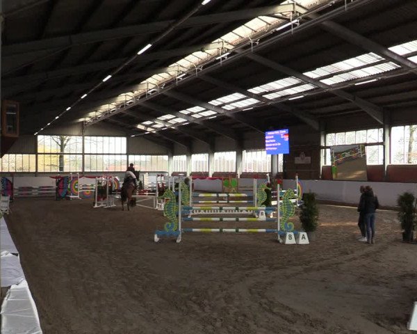 Reitturnier Greven 2022