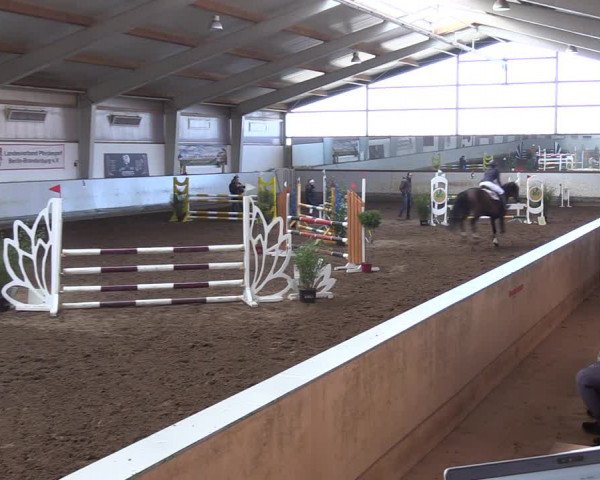 Reitturnier Münchehofe 2022