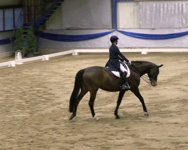Reitturnier Buchs 2022