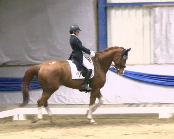 Reitturnier Buchs 2022