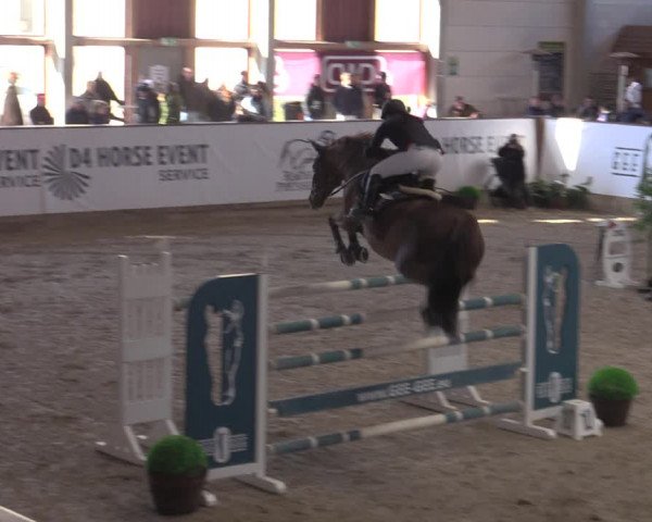 Reitturnier Prussendorf 2022