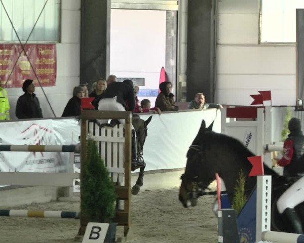 Reitturnier Karlsfeld 2022