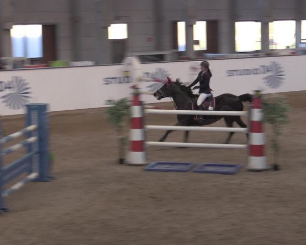 Reitturnier Prussendorf 2022