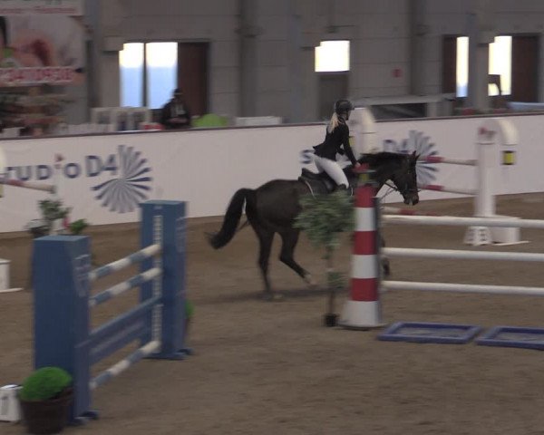 Reitturnier Prussendorf 2022