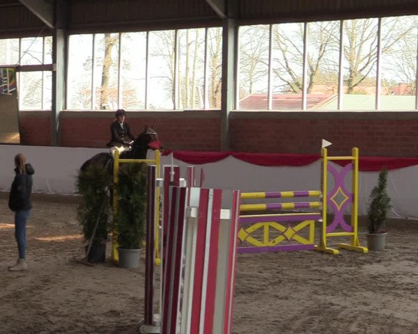 Reitturnier Greven 2022