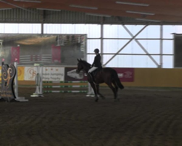 Reitturnier Pausin 2022